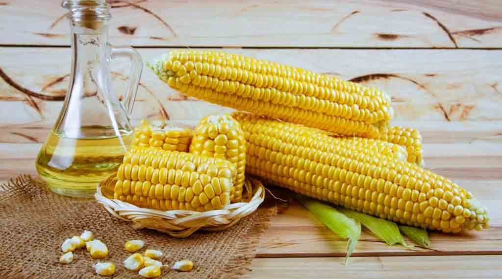 corn oil benefits