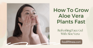 How To Grow Aloe Vera Plants Fast