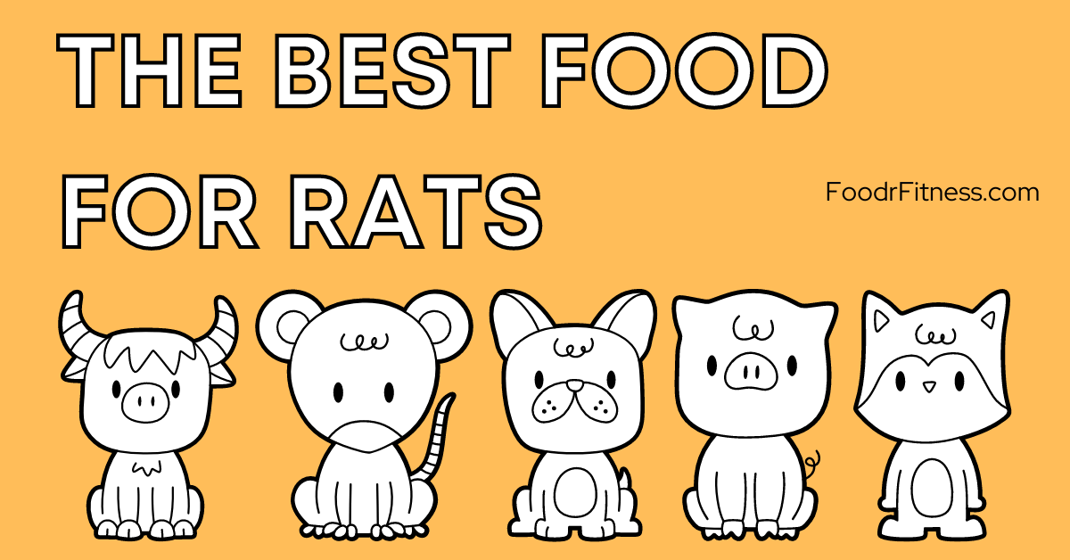 Best Food for Rats