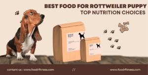 Best Food for Rottweiler Puppy