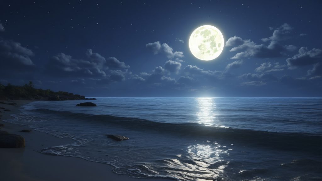 a moonlit night paragraph