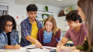 Duties of a Student Paragraph HSC