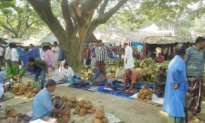 A village market composition